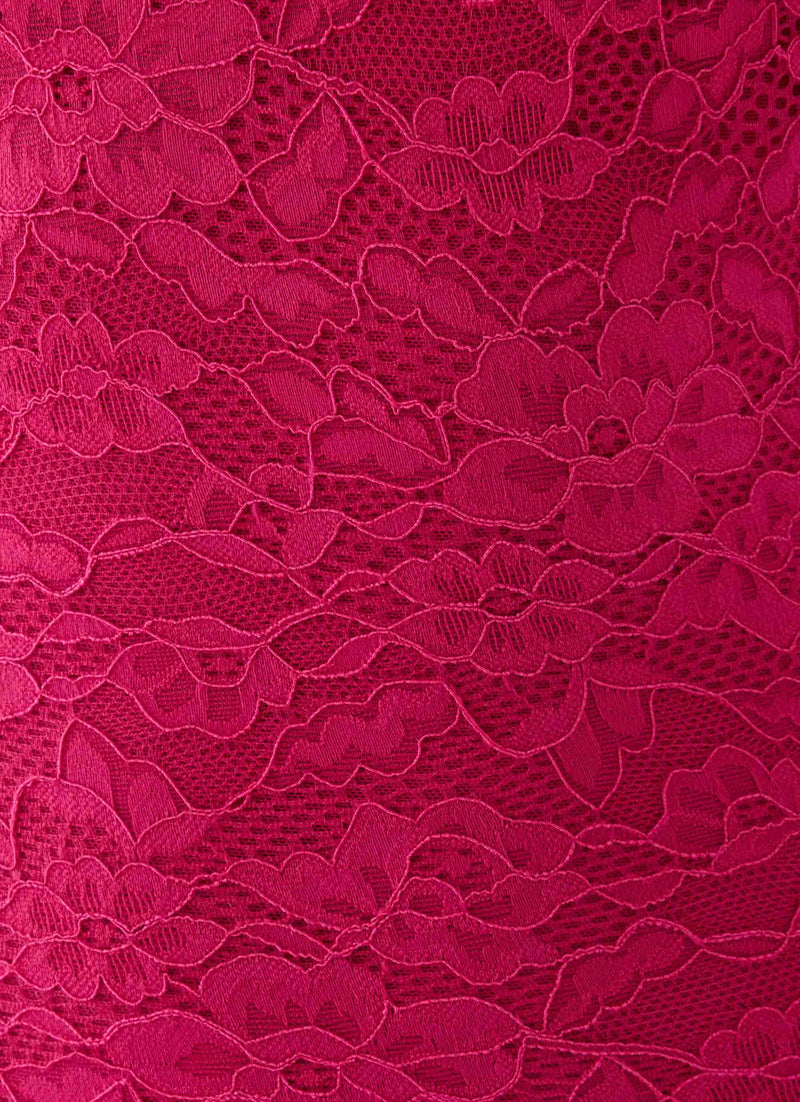 Anari Lace Mini Dress - Fuchsia