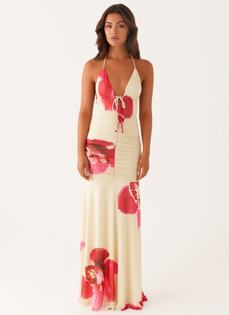 Peppermayo Exclusive Hollywood Maxi Dress - Orchid Yellow - Image 3
