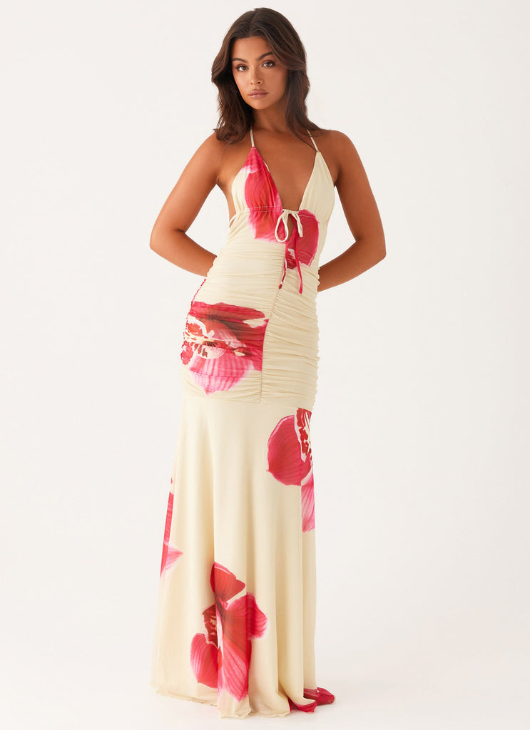Peppermayo Exclusive Hollywood Maxi Dress - Orchid Yellow
