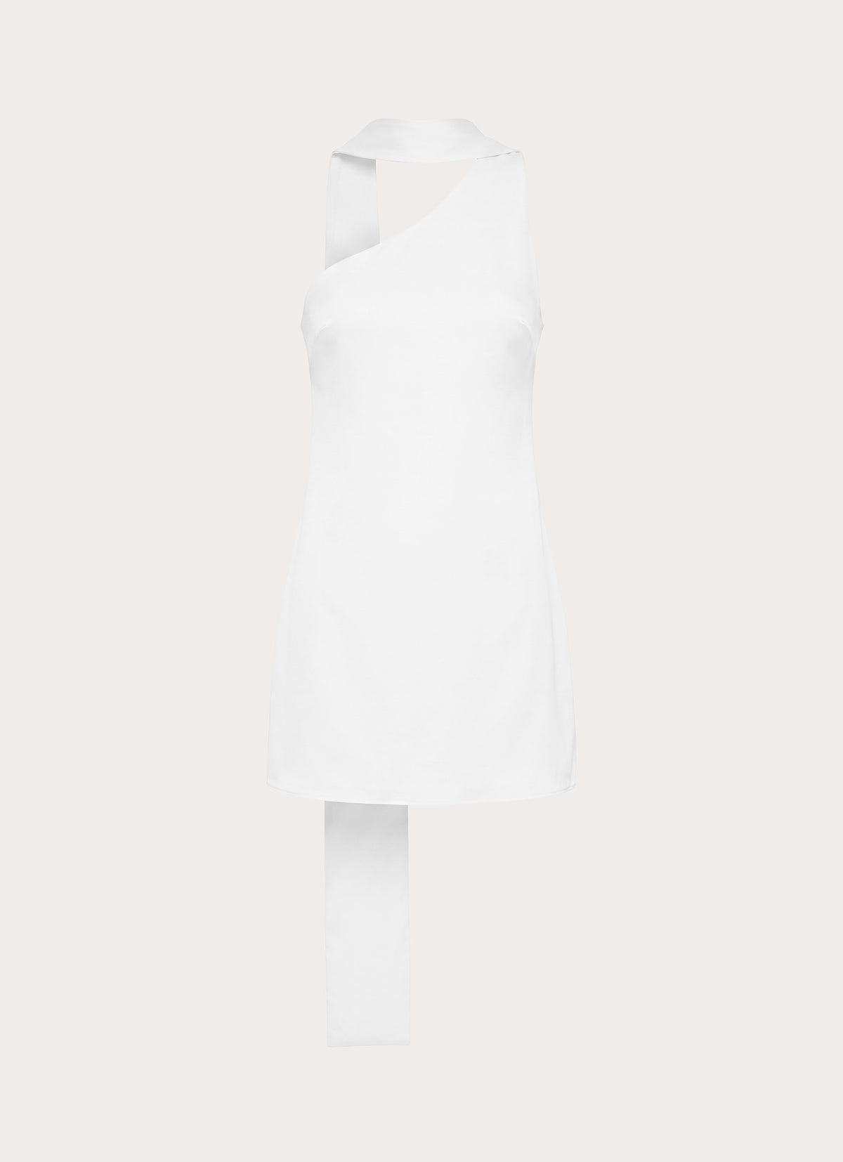 In The End Mini Dress - White